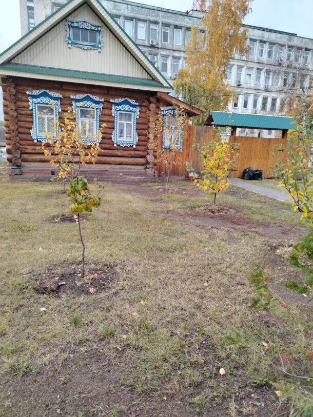 Сбор - изображение №10